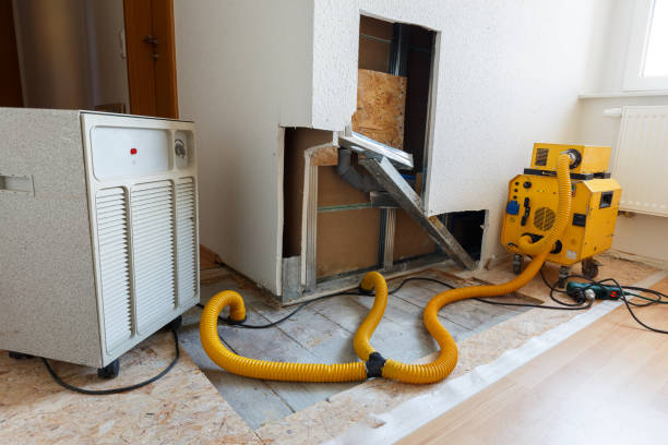 Environmental Consulting for Mold Prevention in Thief River Falls, MN